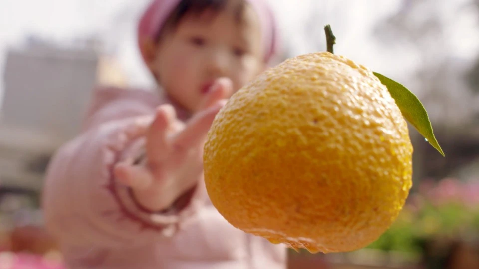 中国扶贫基金会公益片：黄果柑的旅程